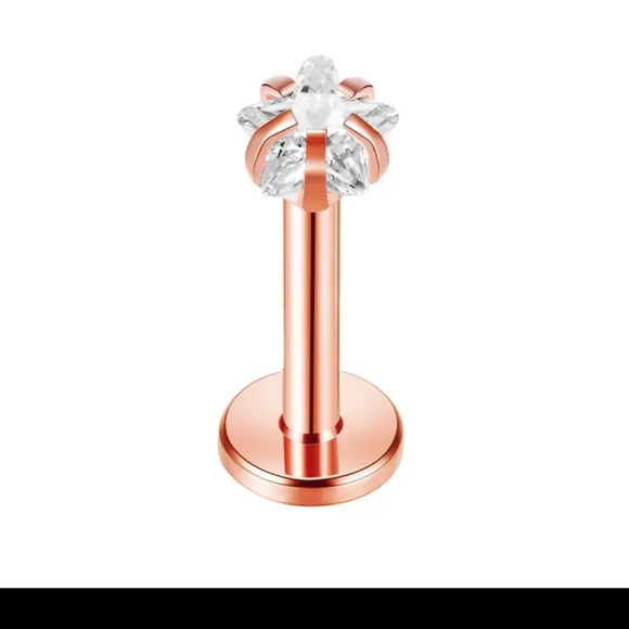 Jewelry - Lip or Nose Ring (New)